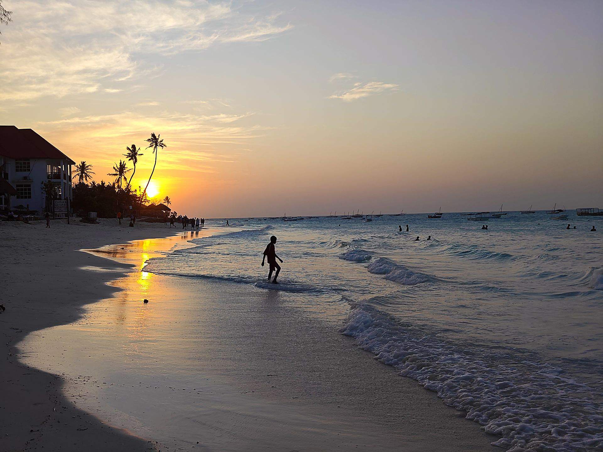 Palms at sunset on Kendwa beach, Zanzibar