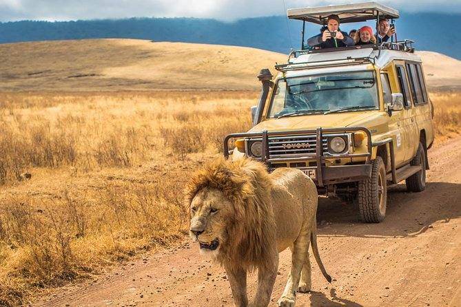 Mainland safari